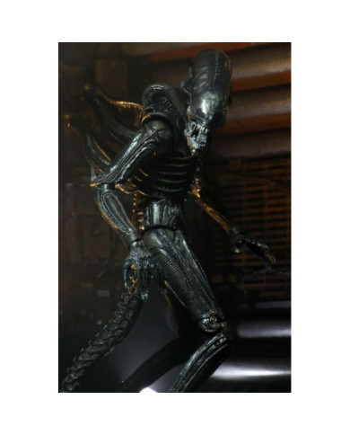 ALIEN - Big Chap 40eme Anniversaire - Ultimate Figurine 22cm
