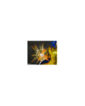SAINT SEIYA - Gemini Saga - Statue FiguartsZERO Touche Metallique 21cm