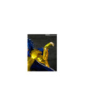 SAINT SEIYA - Gemini Saga - Statue FiguartsZERO Touche Metallique 21cm