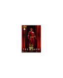 DC COMICS - The Flash - Figure 20cm