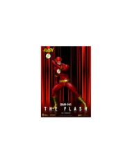 DC COMICS - The Flash - Figure 20cm