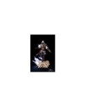 ASSASSIN'S CREED 2 - Ezio - Statuette Animus 1/8 27cm