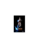 ASSASSIN'S CREED 1 - Altair - Statuette Animus 1/8 27cm