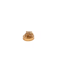 HARRY POTTER - Aragog - Figurine Doré 7cm