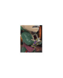 ONE PIECE - Zoro "Wanted Series" - Figurine XXRAY 15cm