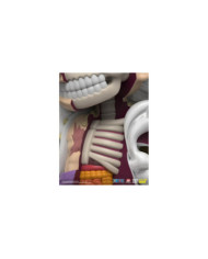 ONE PIECE - Luffy Gear 5 - Figurine XXRAY Plus 23cm