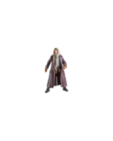 SKELETON CREW - Jod Na Nawood - Figurine Black Series 15cm