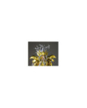 SAINT SEIYA - Opyx Odysseus - Figurine Saint Cloth Myth Ex 18cm
