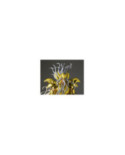 SAINT SEIYA - Opyx Odysseus - Figurine Saint Cloth Myth Ex 18cm