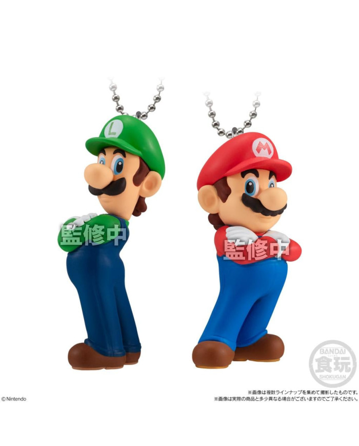 SUPER MARIO BROS. WONDER - Assortiments 10 Charme 5.5cm