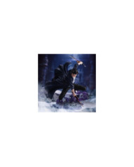 SOLO LEVELING - Sung Jinwoo - Figurine Espresto 21cm