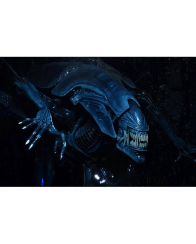 ALIENS - Reine Alien - Figurine Ultra Deluxe 38cm