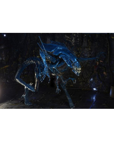 ALIENS - Reine Alien - Figurine Ultra Deluxe 38cm