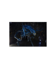 ALIENS - Reine Alien - Figurine Ultra Deluxe 38cm