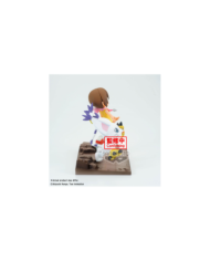 DIGIMON - Hikari & Tailmon - Figurine DXF-Adventure Archives 12cm