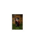 HARRY POTTER - Harry - Figurine Egg Attack Action WIzarding World 11cm