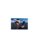 ONE PIECE - Zero Luffy Gear 4 King Cobra Figuarts (Bandai)