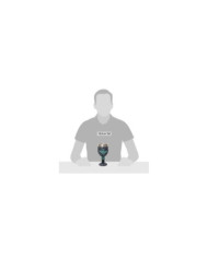 Disney Showcase Collection - Calice Haunted Mansion