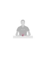 Disney Showcase Collection - Figurine Chat du Cheshire "Par ici"