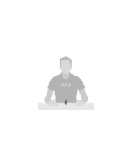 Disney Showcase Collection - Mini Figurine Stitch avec des fleurs