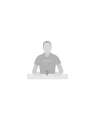 Disney by Britto - Mini Figurine Stitch avec une grenouille