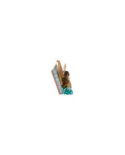 Disney Traditions - Figurine Vaiana Storybook