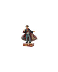 Harry Potter by Jim Shore - Figurine Harry Potter Moment Magique