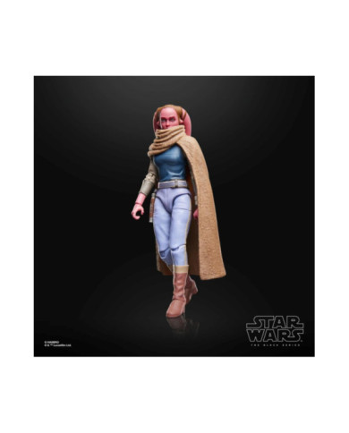 Figurine Maul : Shadow Lord Black Series Hasbro Star Wars Maul Shadow Lord Izara