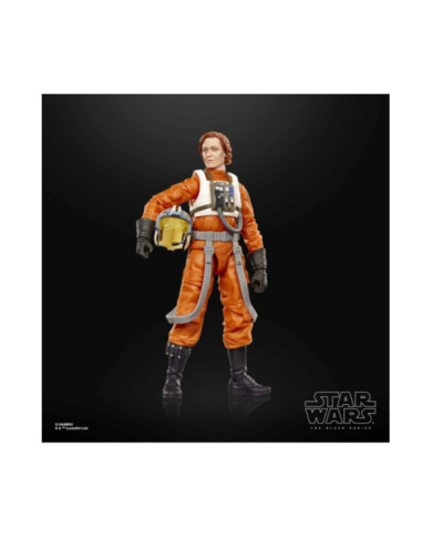 Figurine Colonel Ward Black Series Mandalorian - Hasbro