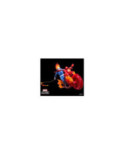 Figurine Ghost Rider avec Moto Marvel Legends Series Hasbro