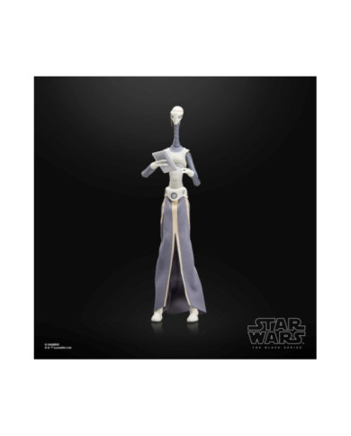 Figurine Star Wars Black Series Taun We 15cm Hasbro