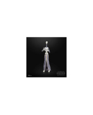 Figurine Star Wars Black Series Taun We 15cm Hasbro