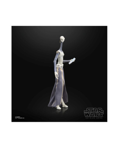 Figurine Star Wars Black Series Taun We 15cm Hasbro