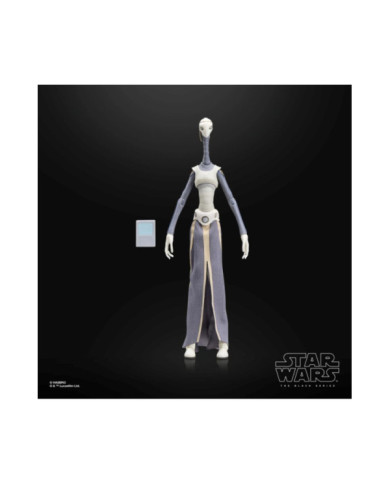 Figurine Star Wars Black Series Taun We 15cm Hasbro