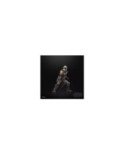 Figurine articulée Mandalorian Pagodon Black Series 15cm Hasbro