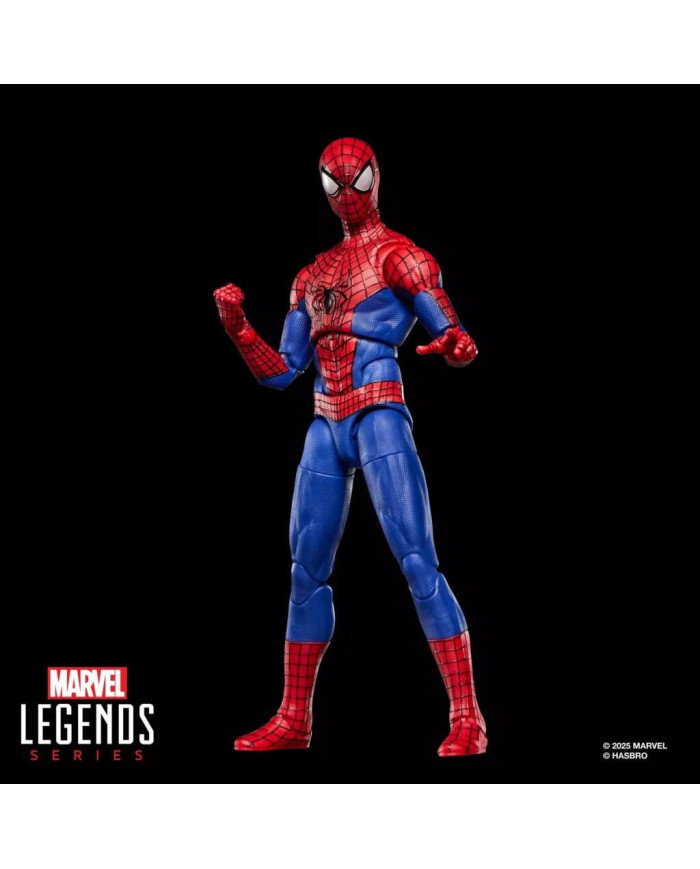 Figurine Marvel Spider-Man Legends Series 15cm Hasbro
