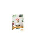 Figurines Disney Pocket Plant Series - Beast Kingdom - Mini D-Stage