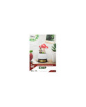 Figurines Disney Pocket Plant Series - Beast Kingdom - Mini D-Stage