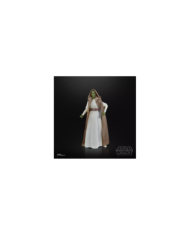 Figurine The Acolyte Jedi Vernestra Rwoh Black Series - Star Wars Hasbro