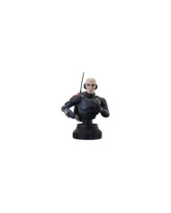 Mini-Buste Echo Star Wars The Clone Wars Gentle Giant