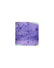 Tote Bag Loungefly - La Petite Sirène - Ariel & Polochon & Sébastien