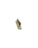 Disney Traditions - Storybook Le Livre de la Jungle