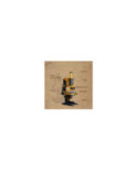 Bloc de construction Pantasy Microscope Rétro