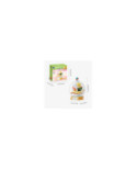 Set de construction PANTASY Le Petit Prince Livre en plein essor 86334
