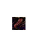 Statuette Iron Studios - Beholder - Dungeons and Dragons - Icons