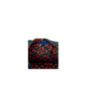 Sac à bandoulière Loungefly - Stitch & Angel Halloween Costumes