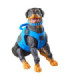Figurine Footloose, Mutt & Junkyard  G.I. Joe Hasbro