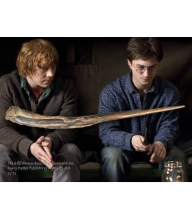 Baguette Harry Potter prise au Rafleur (Étudiant) - Noble Collection