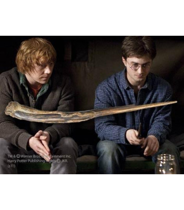 Baguette Harry Potter prise au Rafleur (Étudiant)