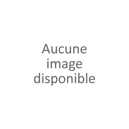 DISNEY PRINCESSES - Cendrillon - Verre avec Fleurs Sechées 300ml
